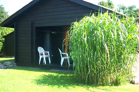 Haus in Damp 054